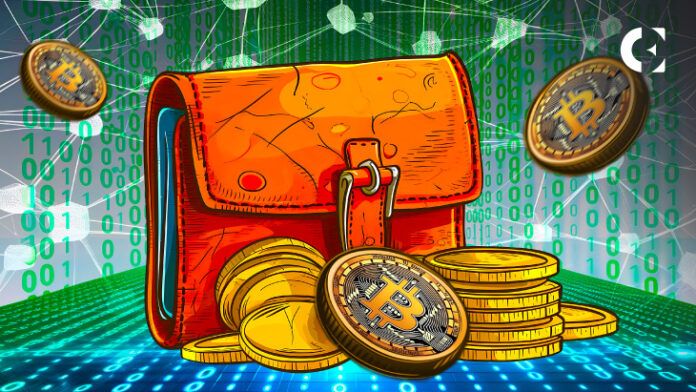 CryptoRank Reveals the Richest Bitcoin Wallets in 2024