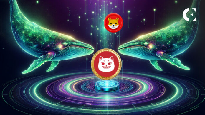 New Crypto That Could Surpass Shiba Inu’s 2021 Gains Revealed by Top Analysts!