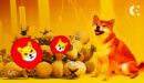 Will Shiba Inu Price Surge Follow Dogecoin’s Market Trends?