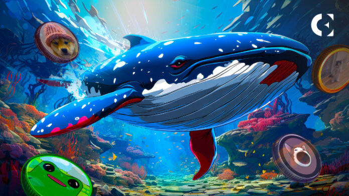 Crypto Whale Spends Big: $18.57M on Memecoins in Solana
