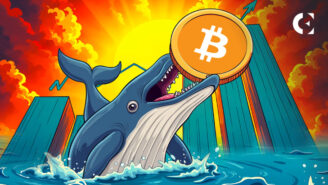 Bitcoin ATH: Whale Activity Shapes February Outlook