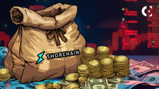 ThorChain Temporarily Pauses Loans and Savers A Bold Move to Ensure Network Stability