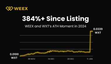 WEEX 2024 Annual Report