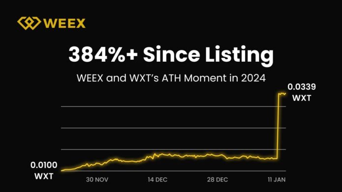 WEEX 2024 Annual Report