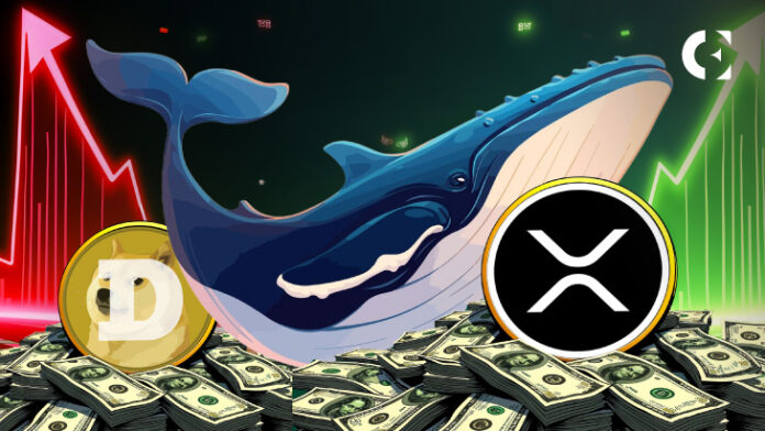 Whale Activity, Buy Signals, and Liquidation Risks A Closer Look at $XRP, $DOGE, and More