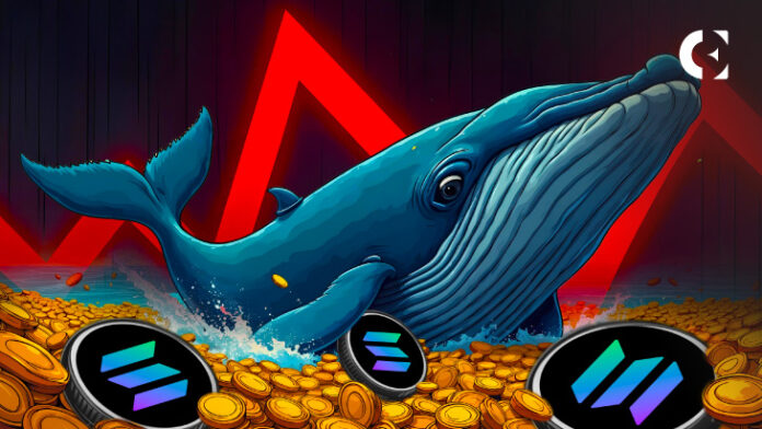 Whale Makes Massive SOL Deposit on Binance Price Crash Incoming