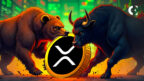 XRP Price Action A Bullish Outlook Amid Warnings of Potential Drops