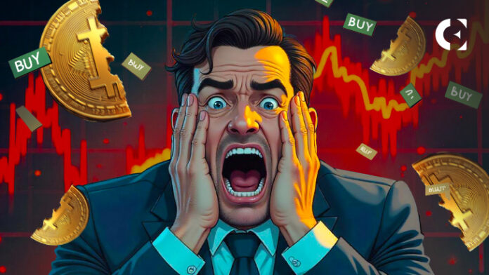 Bitcoin Fear & Liquidations: Price Dip Analysis