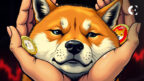 Meme Coin Meltdown Shiba Inu Hints at Market Turnaround