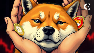 Meme Coin Meltdown Shiba Inu Hints at Market Turnaround