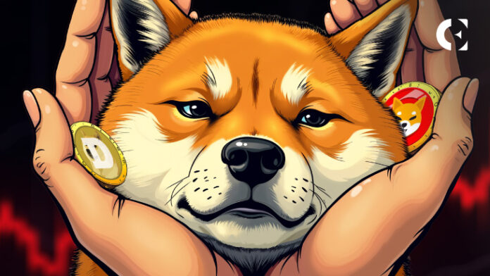 Meme Coin Meltdown Shiba Inu Hints at Market Turnaround