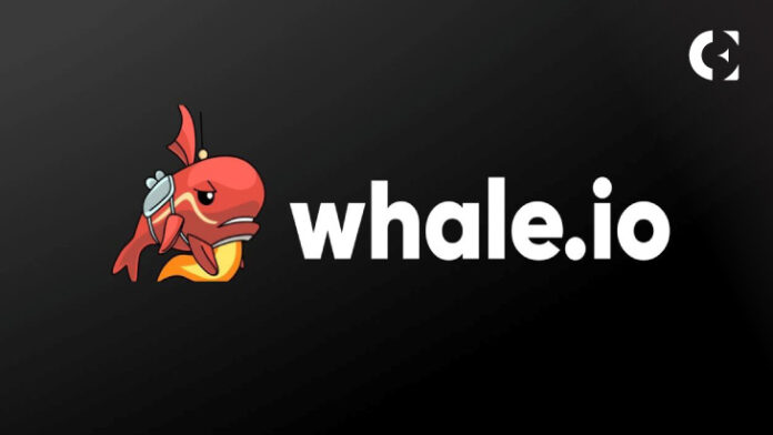 Whale.io Says Goodbye to Telegram and Focuses on Web