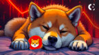 Shiba Inu (SHIB) Has Reached a Critical Reset Point