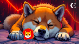 Shiba Inu (SHIB) Has Reached a Critical Reset Point