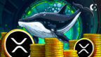 Whale Accumulation Surges as XRP Eyes $3.40 Resistance