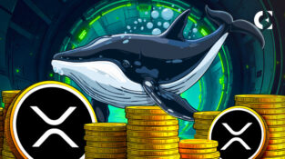 Whale Accumulation Surges as XRP Eyes $3.40 Resistance