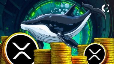 Whale Accumulation Surges as XRP Eyes $3.40 Resistance