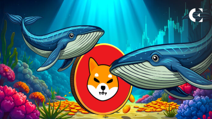 Whale Moves $7.3M SHIB & AVAX from Binance