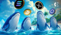 Altcoin Whale Activity: LINK Up, XRP, SOL, DOGE Mixed