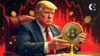 Bitcoin Price Drops After Trump Crypto Reserve—Reality Check