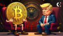 Oferta quente de Bitcoin cai 50%: culpa do impulso cripto de Trump?