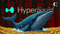 Hyperliquid Bitcoin Whale Speculated to be a Cybercriminal