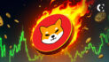 SHIB Burns Over Half a Billion Tokens, Price Surges Over 7%