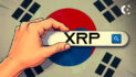 XRP Search King in South Korea, Beats Bitcoin