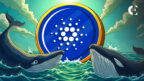Cardano Eyes Breakout as Whales Buy 180M ADA