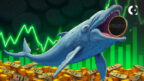 Crypto whale profits $9M, accumulates 309 BTC as Bitcoin price nears $96K in May 2025.
