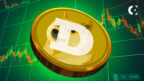 Dogecoin's Next 24 Hours: Polymarket Gives Low Odds for $0.24