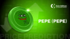 PEPE Price Prediction for May 11