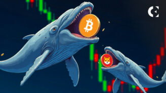 SHIB Whale Inflows Crash 83% as Burn Rate Spikes 12,715%