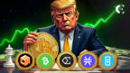 Top 5 Altcoin Gainers: EOS, BCH Rally as Bitcoin Tops $100K