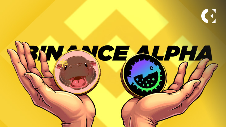Что ждет $PUFFER и $MOODENG после обзора Binance Alpha?