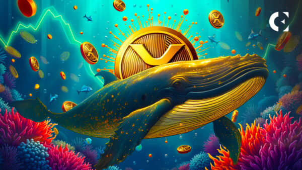 While Bitcoin Grabbed Headlines, XRP Whales Snapped Up 900M Tokens