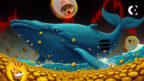 A data chart from Dune Analytics shows a sharp decline in the whale trading volume for Solana meme coins since November 2024