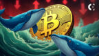 An on-chain analysis shows massive whale accumulation of Bitcoin during a price dip caused by geopolitical tensions in the West Asia.