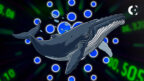 Cardano Whale Defends ADA’s Legacy and Market Resilience