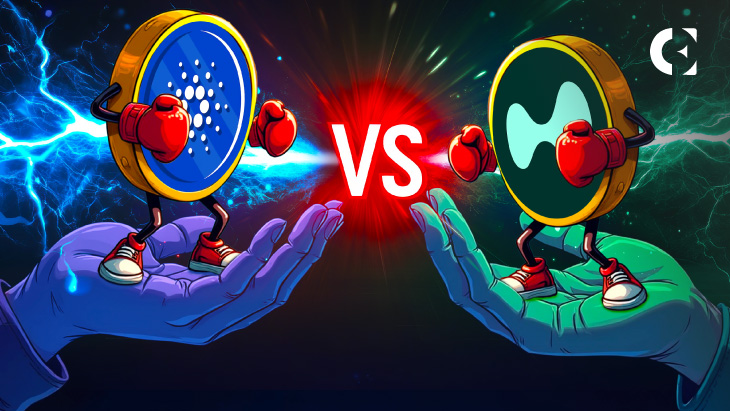 HYPE Hits All-Time High: Will It Overtake ADA in the Crypto Rankings?