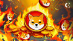 A news report on the Shiba Inu (SHIB) daily token burn rate spiking by 3,484% amid news of a new AI push from its developers.