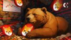 The Shiba Inu (SHIB) price chart shows a break below a key support level, signaling a potential further decline.