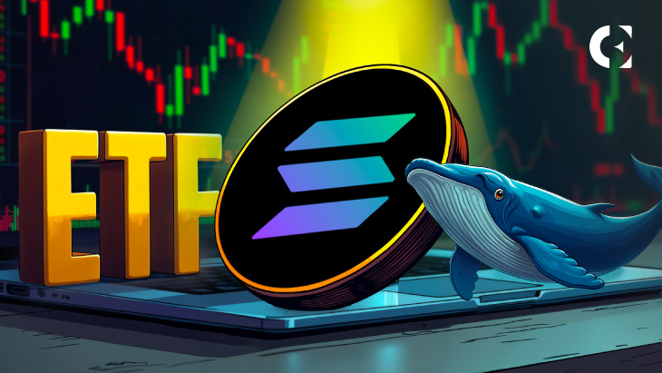 Цена Solana (SOL): движения китов, неопределенность ETF и медвежьи индикаторы