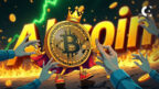 Top analyst has issued a warning that the window to buy altcoins is closing fast.