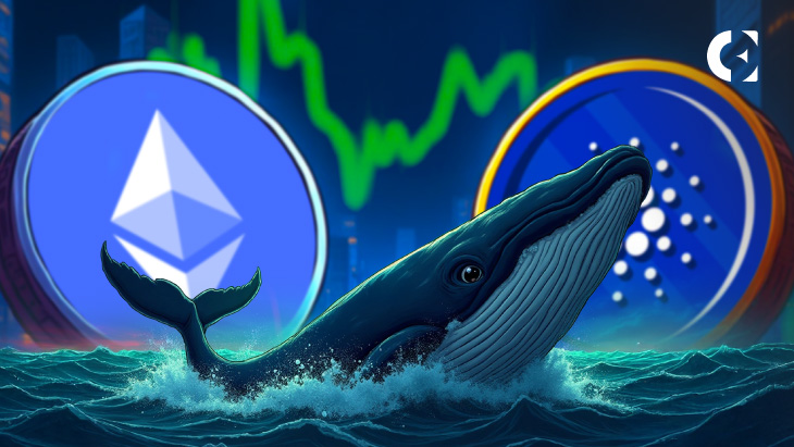 Данные показывают, что киты накапливают ETH и ADA, поскольку розничные продажи в страхе