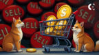 What Triggered the Selloff in Meme Coins Today