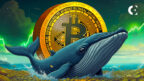 On-chain data shows a new wallet opened a $54.5 million high-leverage long position on Bitcoin via Hyperliquid.