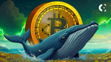On-chain data shows a new wallet opened a $54.5 million high-leverage long position on Bitcoin via Hyperliquid.