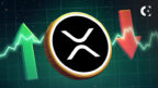News and analysis of a long-term XRP price prediction, which forecasts the next major bear market "buy the dip" opportunity for the token will not be until 2026.