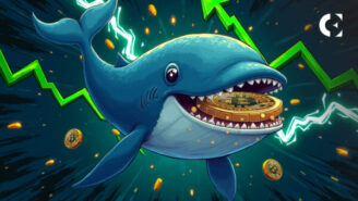 News and on-chain analysis of the Bitcoin (BTC) market, showing a massive accumulation of 218,000 BTC by large "whale" wallets in July 2025.